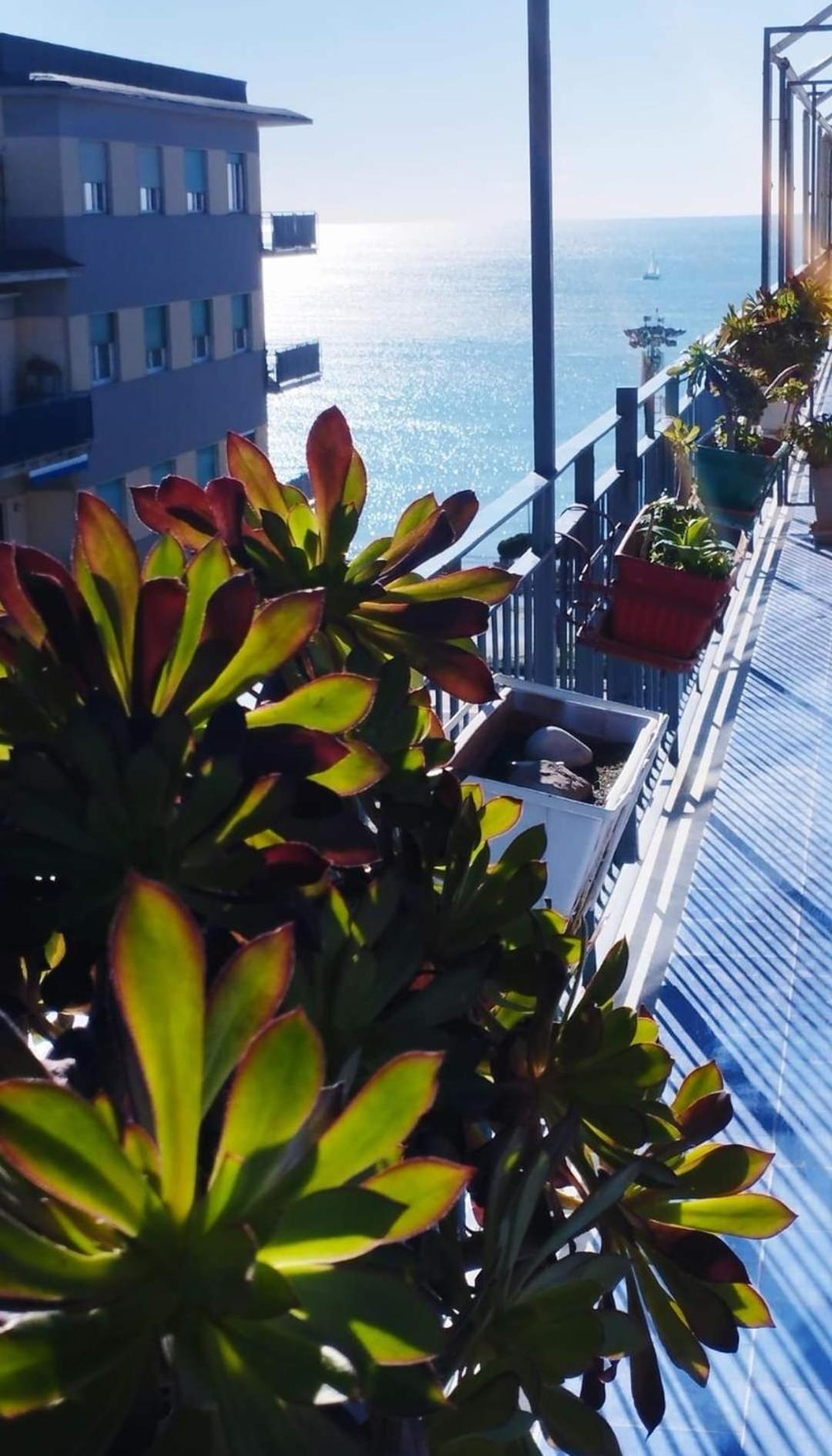 مبيت وإفطار ساليرنو Alta Quota Relax On The Sea المظهر الخارجي الصورة